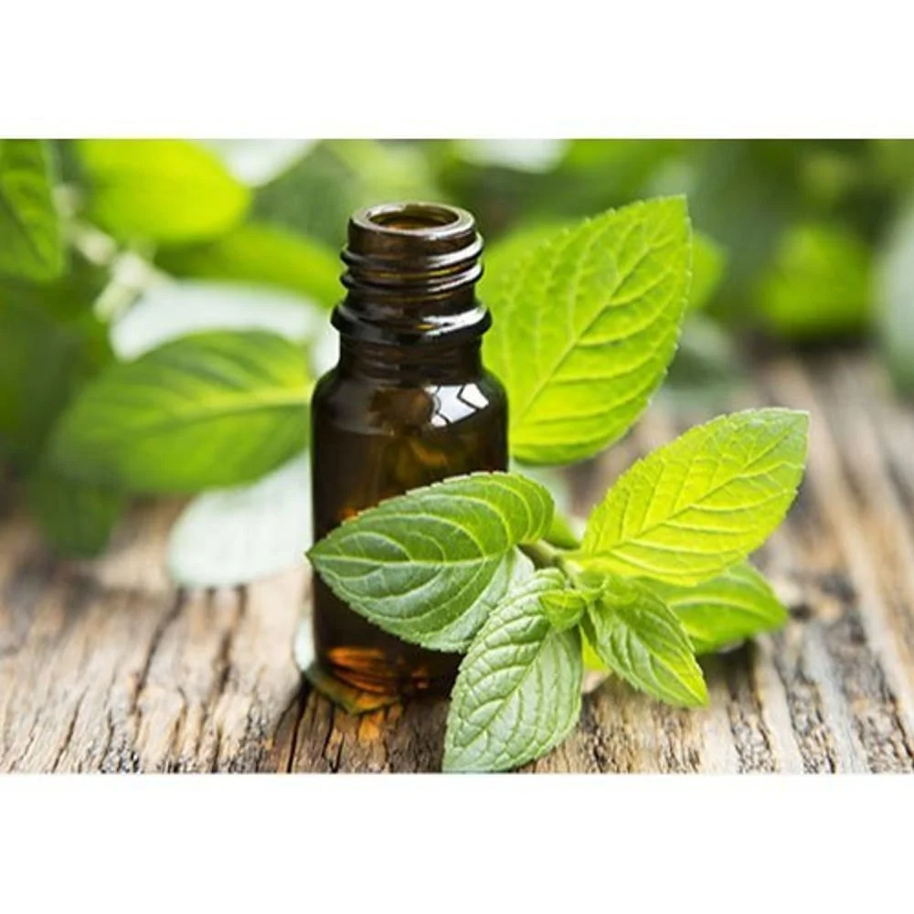 Spearmint Oil Manufacturers producing pure and natural spearmint essential oil