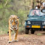 Agra to Ranthambore