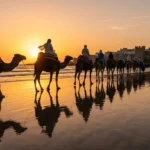 Discover the Magic of a Camel Ride in Essaouira: An Unforgettable Experience