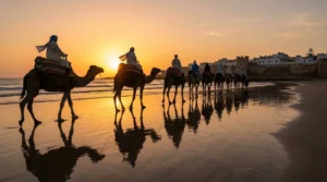 Discover the Magic of a Camel Ride in Essaouira: An Unforgettable Experience