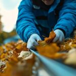 gutter cleaning near me