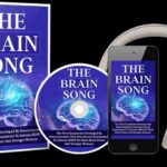 the brain song