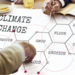 unnamed - 2026-01-27T171436.333