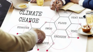 unnamed - 2026-01-27T171436.333