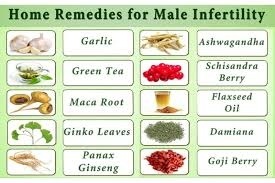 Natural Ways to Improve Male Reproductive Health