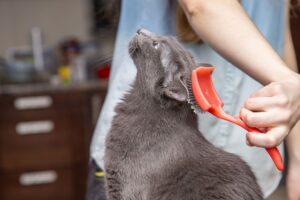 Pet Grooming Hacks