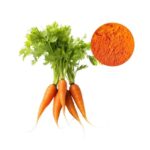 Beta Carotene Extraction from Carrot