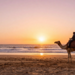 freepik__a-traveler-riding-a-camel-along-essaouiras-wide-at__18165