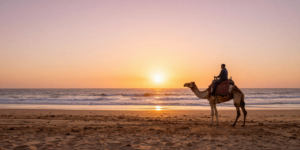 freepik__a-traveler-riding-a-camel-along-essaouiras-wide-at__18165