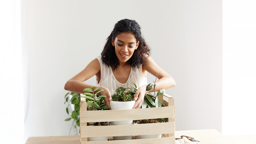 unnamed - 2026-02-19T102331.171