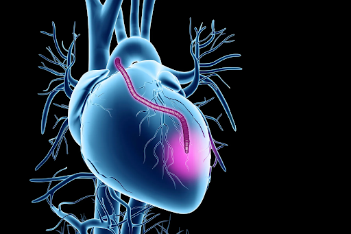 unnamed - 2026-02-26T171912.898