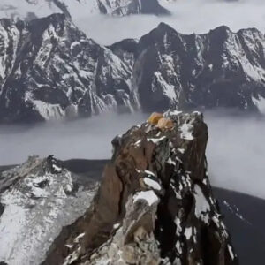 Ama Dablam Expedition 1