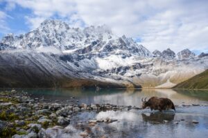 Gokyo Valley Trek 11