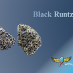 Vitamin-C Orange Flavor Beans (9)