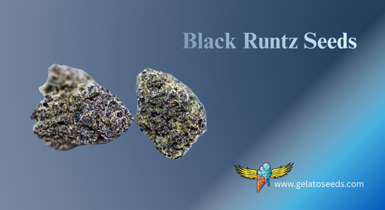 Vitamin-C Orange Flavor Beans (9)