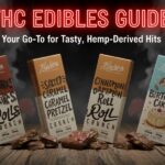 THC edibles gummies chocolate bars mushroom display wellness shop
