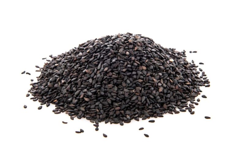 Sesame Seeds Suppliers in India delivering cleaned and sorted sesame seeds for international food industries