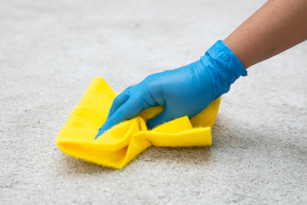 carpet cleaning fairfax
