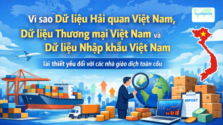 Vì sao Dữ liệu Hải quan Việt Nam, Dữ liệu Thương mại Việt Nam và Dữ liệu Nhập khẩu Việt Nam lại thiết yếu đối với các nhà giao dịch toàn cầu