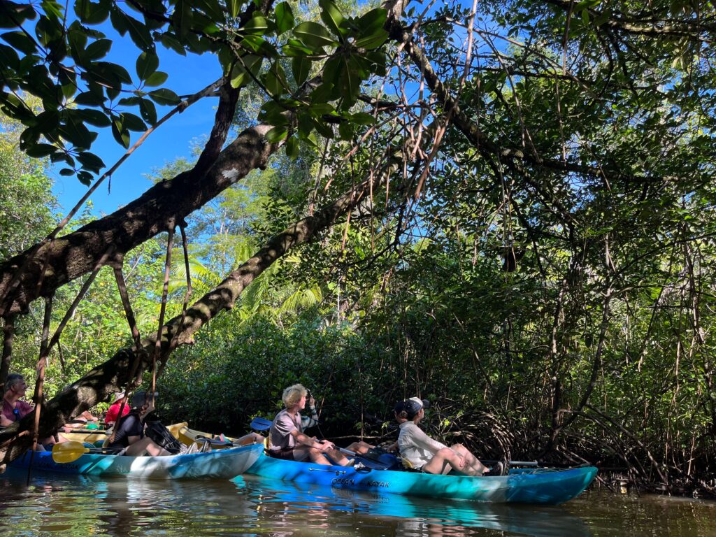 eco resort in Panama