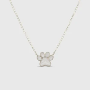 pet cremation necklaces