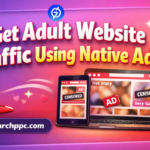 adult website traffic