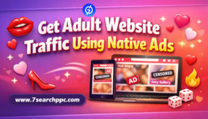 adult website traffic