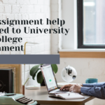 Assignment help