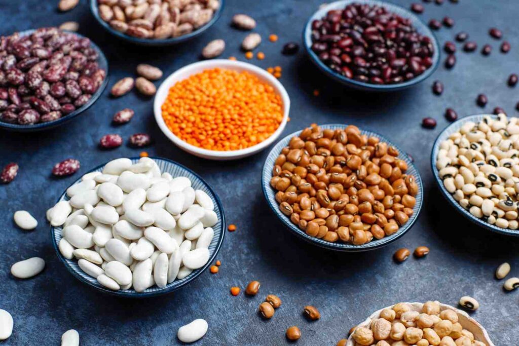 trusted beans company in India for bulk buyers