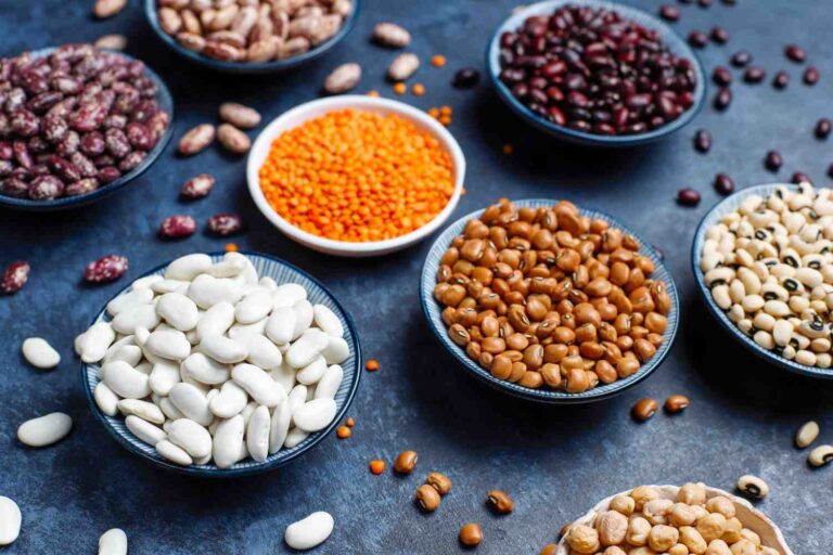 trusted beans company in India for bulk buyers