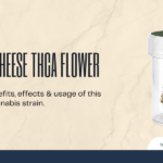 blue cheese THCA flower