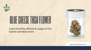 blue cheese THCA flower