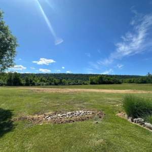 brush clearing services in Winchester