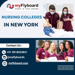 Nursing colleges in New York