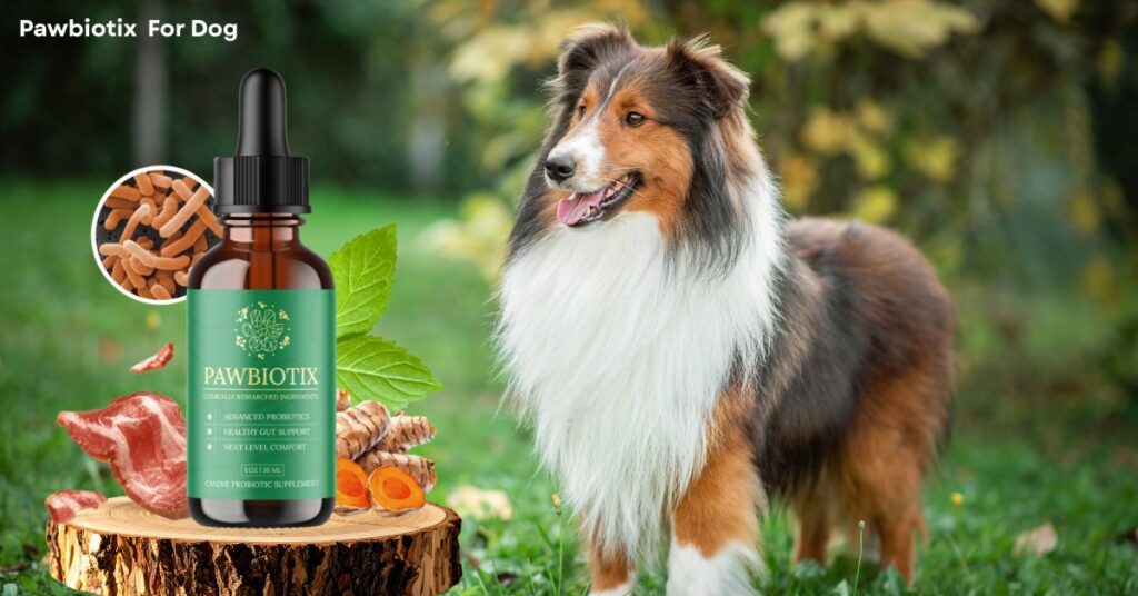 Best Pawbiotix Supplement for Dog Gut Health