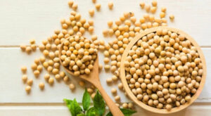 Soyabeans Dealers in India