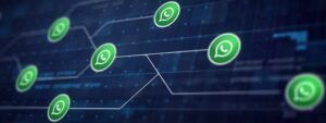WhatsApp marketing software