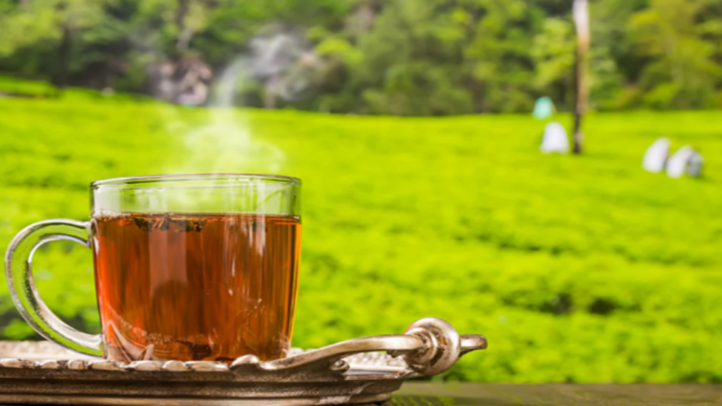 darjeeling tea online