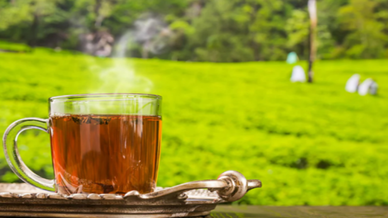 darjeeling tea online