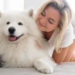 Weight Management for Pets