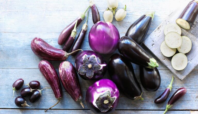 Nutrition & Diet
