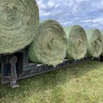 Hay for sale