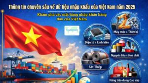 Thông tin chuyên sâu về dữ liệu nhập khẩu của Việt Nam năm 2025: Khám phá các mặt hàng nhập khẩu hàng đầu của Việt Nam