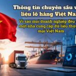 Thông tin chuyên sâu về dữ liệu lô hàng Việt Nam: Vì sao mọi doanh nghiệp đều cần một nhà cung cấp dữ liệu thương mại Việt Nam
