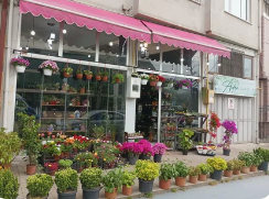 Best Flower Shop in Islamabad