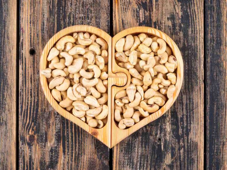 Premium quality cashew nuts wholesale supply with fresh kernels and affordable market rates for bulk buyers in India