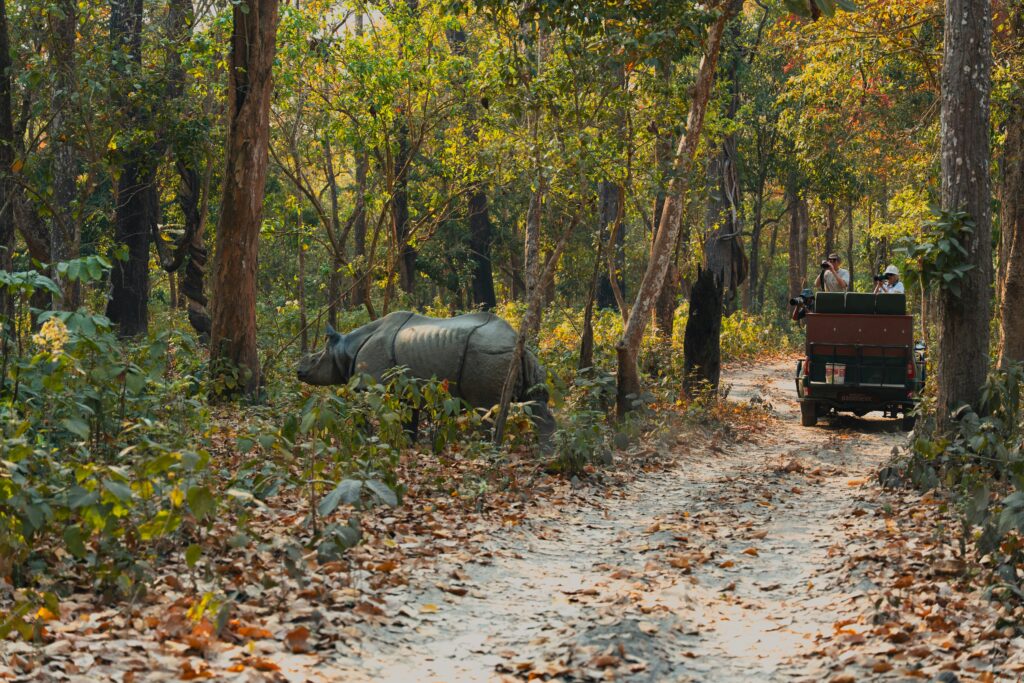 Chitwan National Park 2