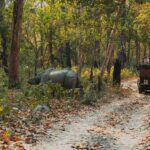 Chitwan National Park 2
