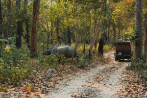 Chitwan National Park 2