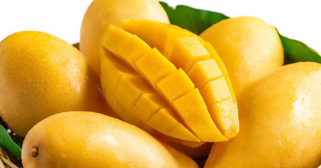 Mango Companies in Pakistan